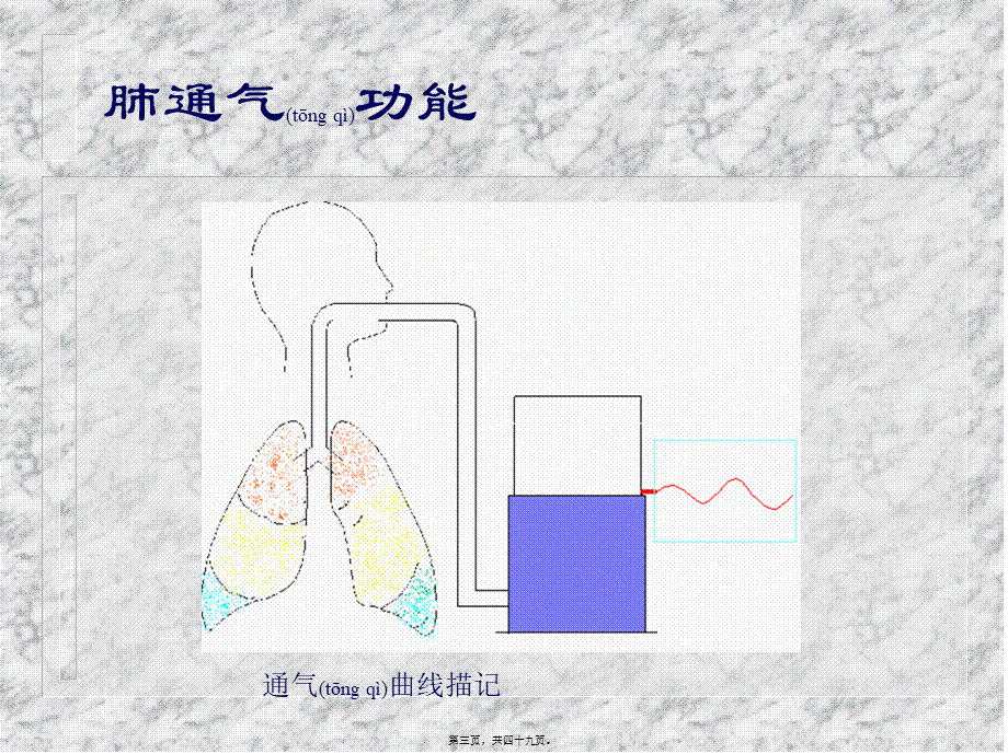 2022年医学专题—肺功能幻灯4.ppt_第3页