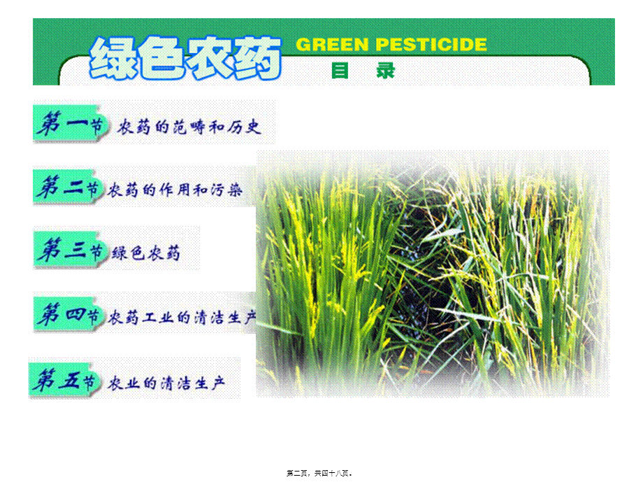 2022年医学专题—第7章-绿色农药.ppt_第2页