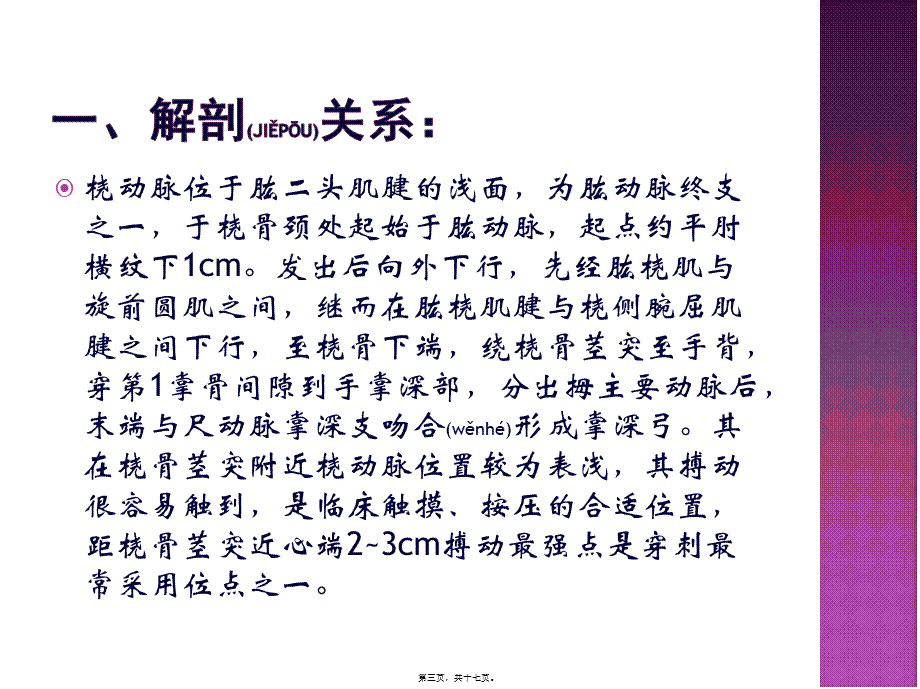 2022年医学专题—桡动脉穿刺.pptx_第3页