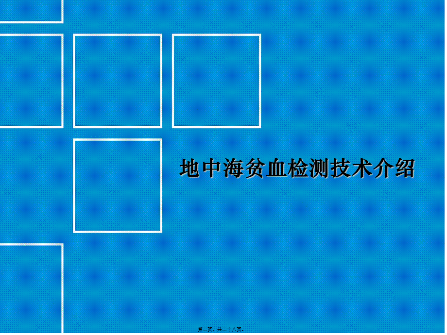 地中海贫血及新生儿筛查检测项目介绍.ppt_第2页