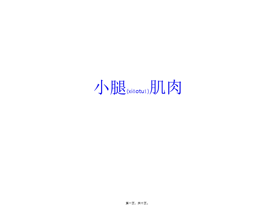 2022年医学专题—小腿肌肉6-韩国原辰整形外科.pptx_第1页