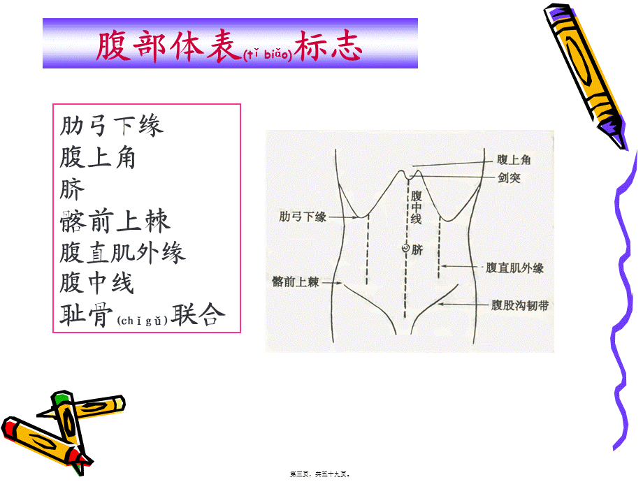 2022年医学专题—健康评估7.身体状况评估-3-腹部-58P.ppt_第3页