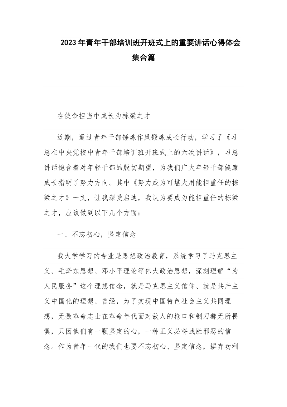 2023年青年干部培训班开班式上的重要讲话心得体会集合篇.docx_第1页