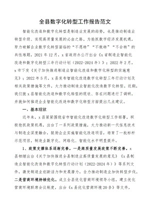 全县数字化转型工作报告汇报总结.docx