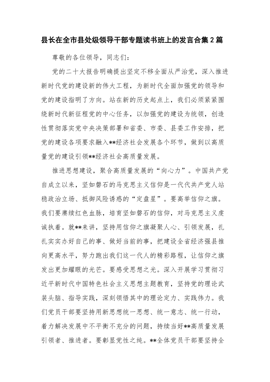 县长在全市县处级领导干部专题读书班上的发言合集2篇.docx_第1页