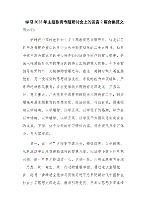 学习2023年主题教育专题研讨会上的发言2篇合集范文.docx