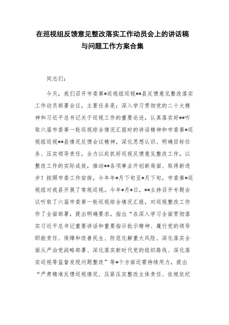 在巡视组反馈意见整改落实工作动员会上的讲话稿与问题工作方案合集.docx_第1页