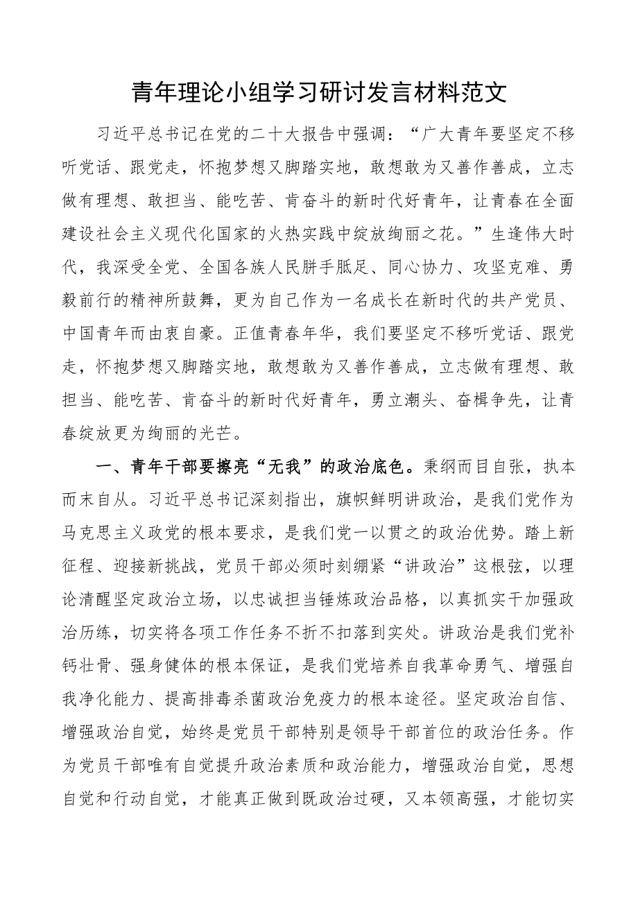 青年理论小组学习研讨发言材料二十大盛会精神心得体会.docx_第1页