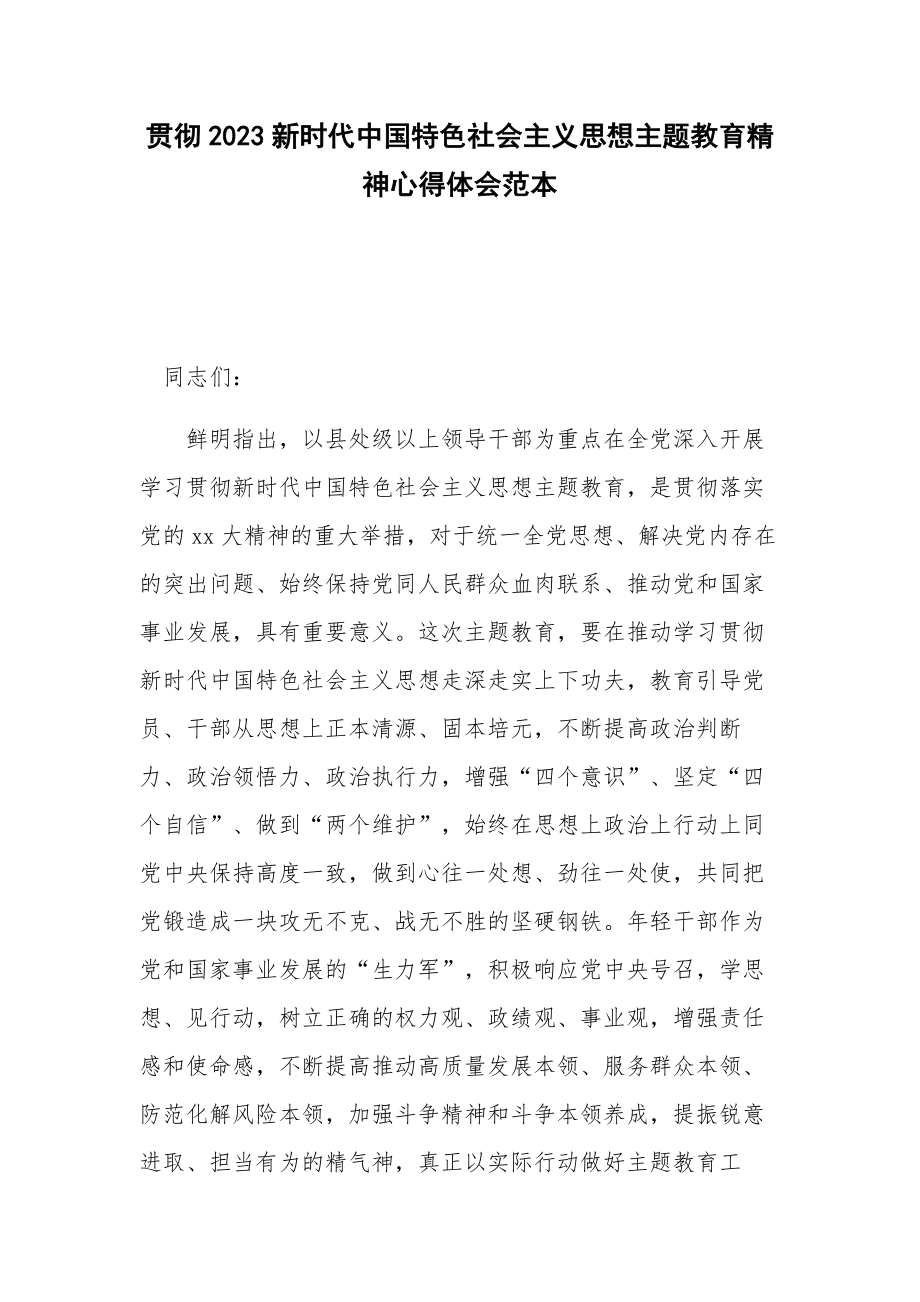 贯彻2023新时代中国特色社会主义思想主题教育精神心得体会范本.docx_第1页