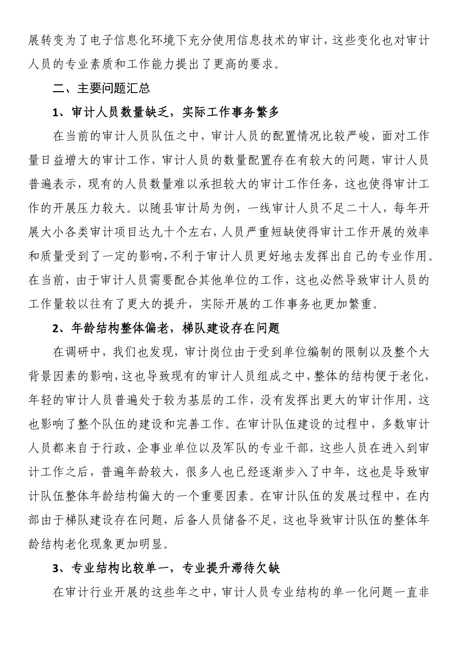 审计人员职业发展和能力建设调研报告.docx_第2页