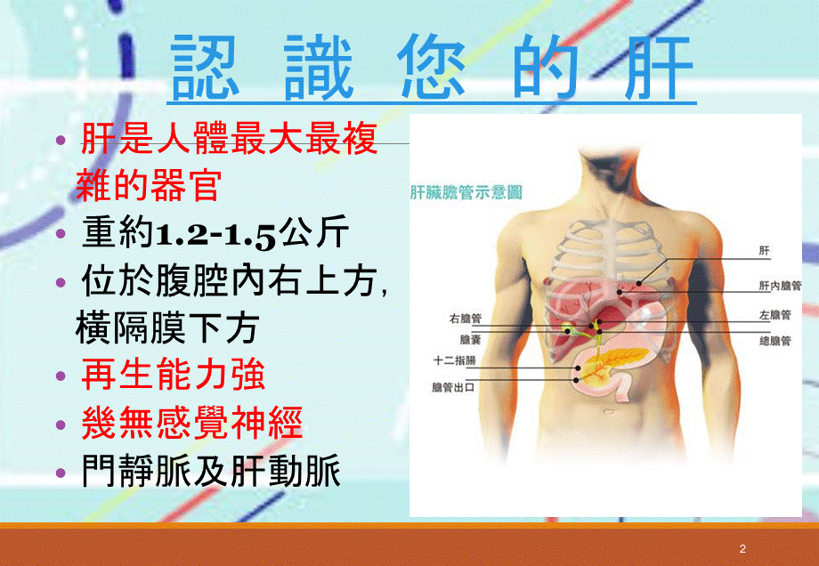 B型肝炎防治.pptx_第2页