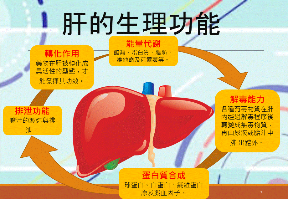 B型肝炎防治.pptx_第3页