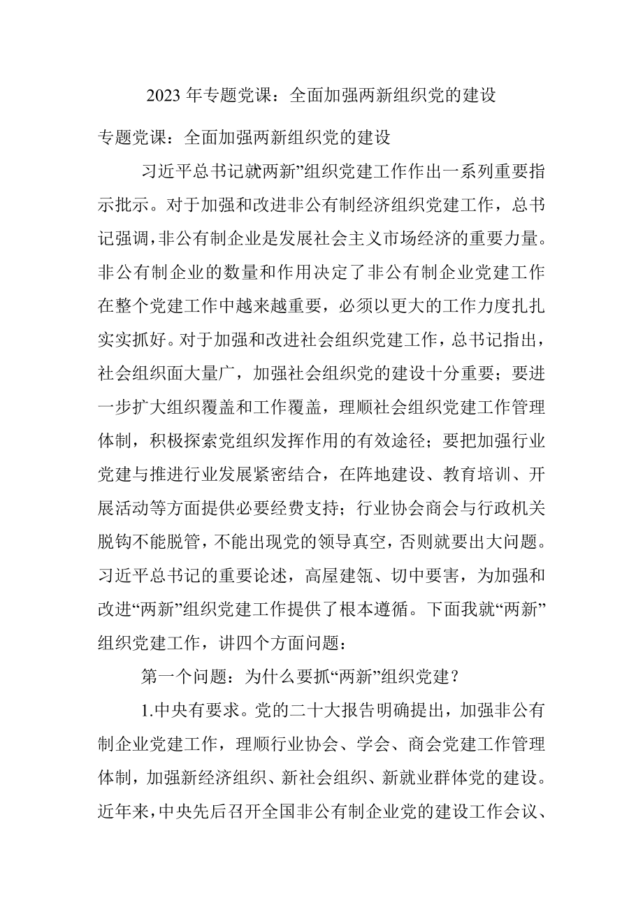 2023年专题党课：全面加强两新组织党的建设.docx_第1页