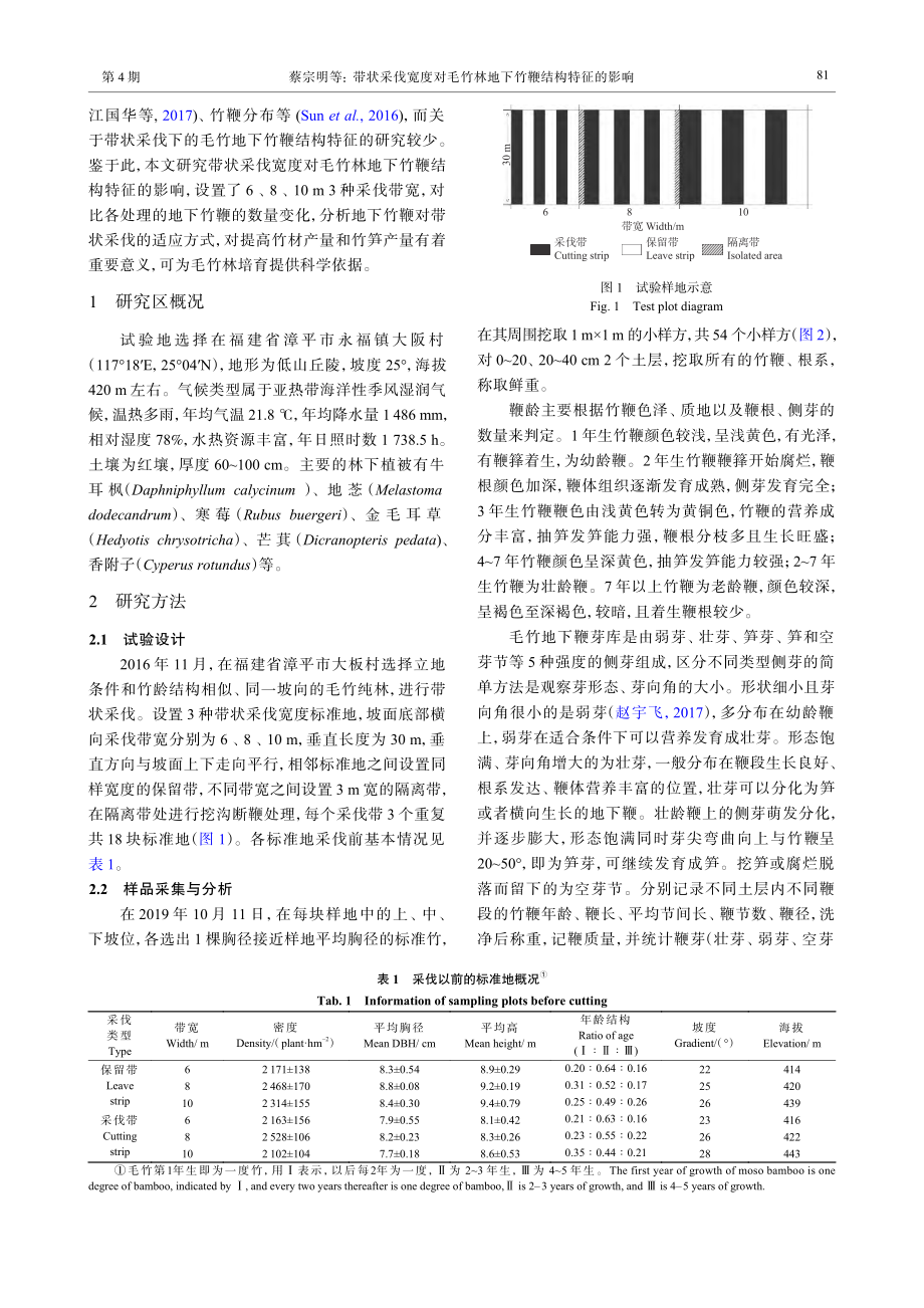 带状采伐宽度对毛竹林地下竹鞭结构特征的影响_蔡宗明.pdf_第3页