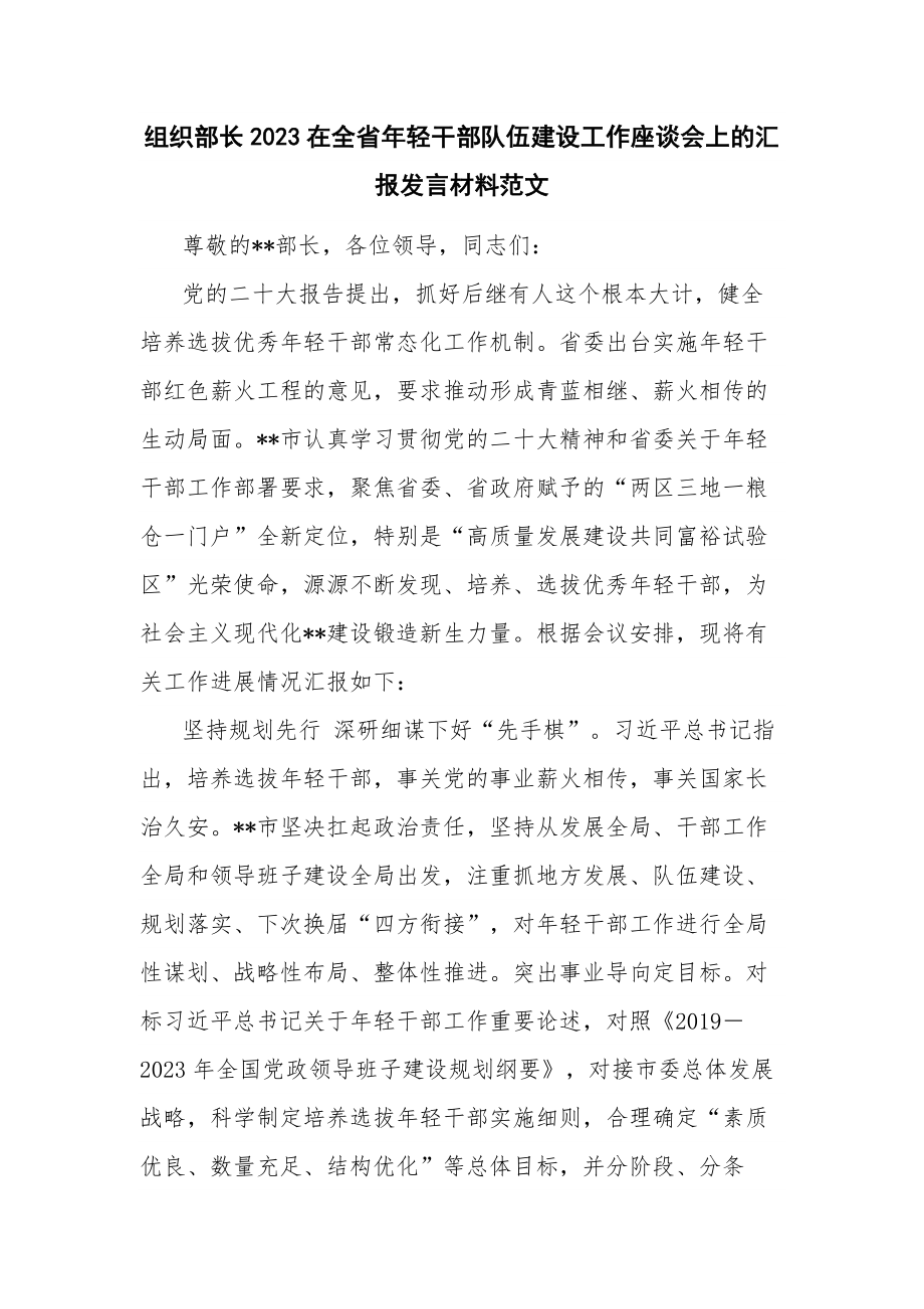 组织部长2023在全省年轻干部队伍建设工作座谈会上的汇报发言材料范文.docx_第1页