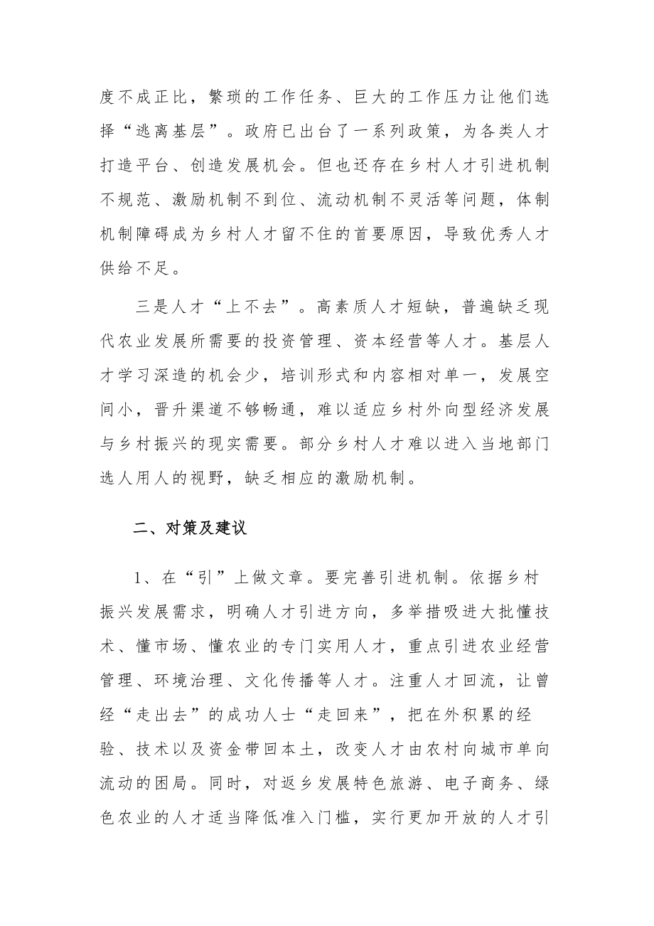 关于乡村振兴中“人才振兴”的问题及建议体会范文.docx_第2页