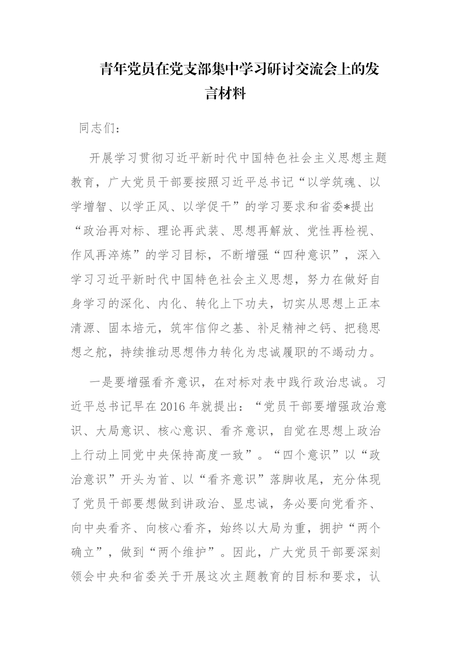 青年党员在党支部集中学习研讨交流会上的发言材料2篇.docx_第1页