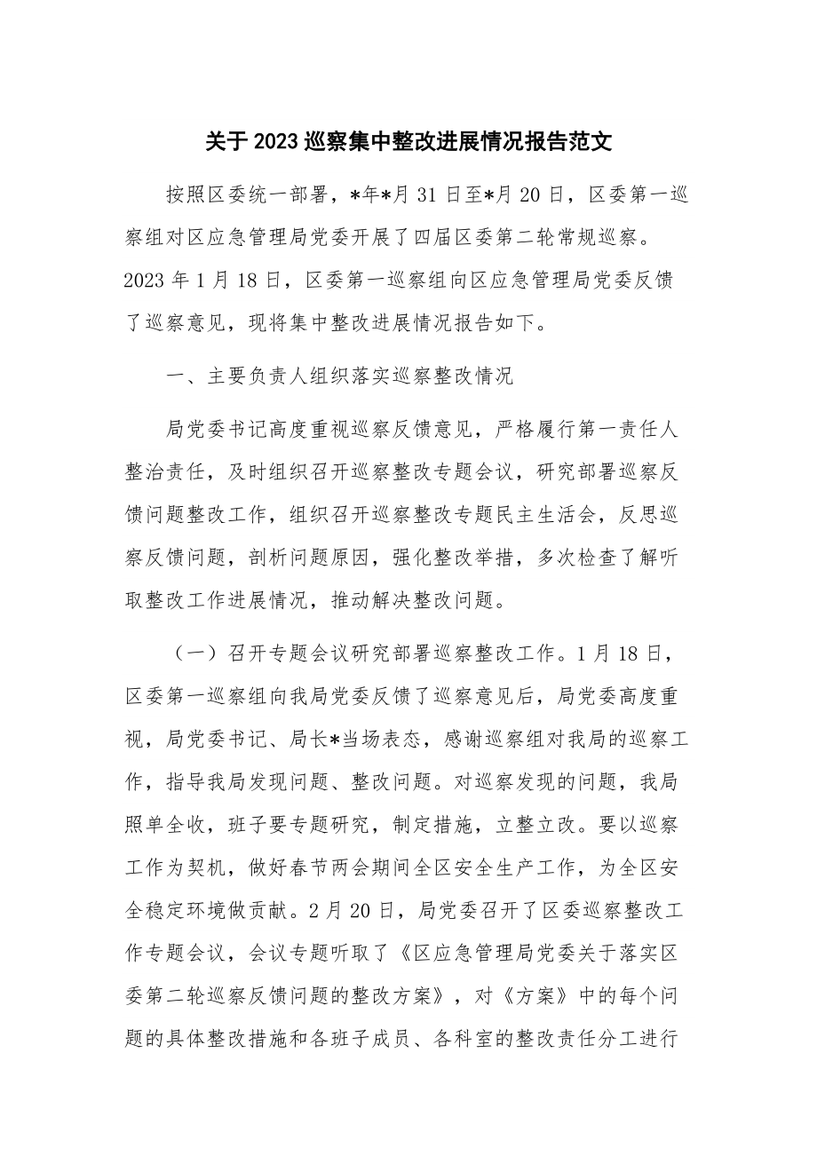 关于2023巡察集中整改进展情况报告范文.docx_第1页