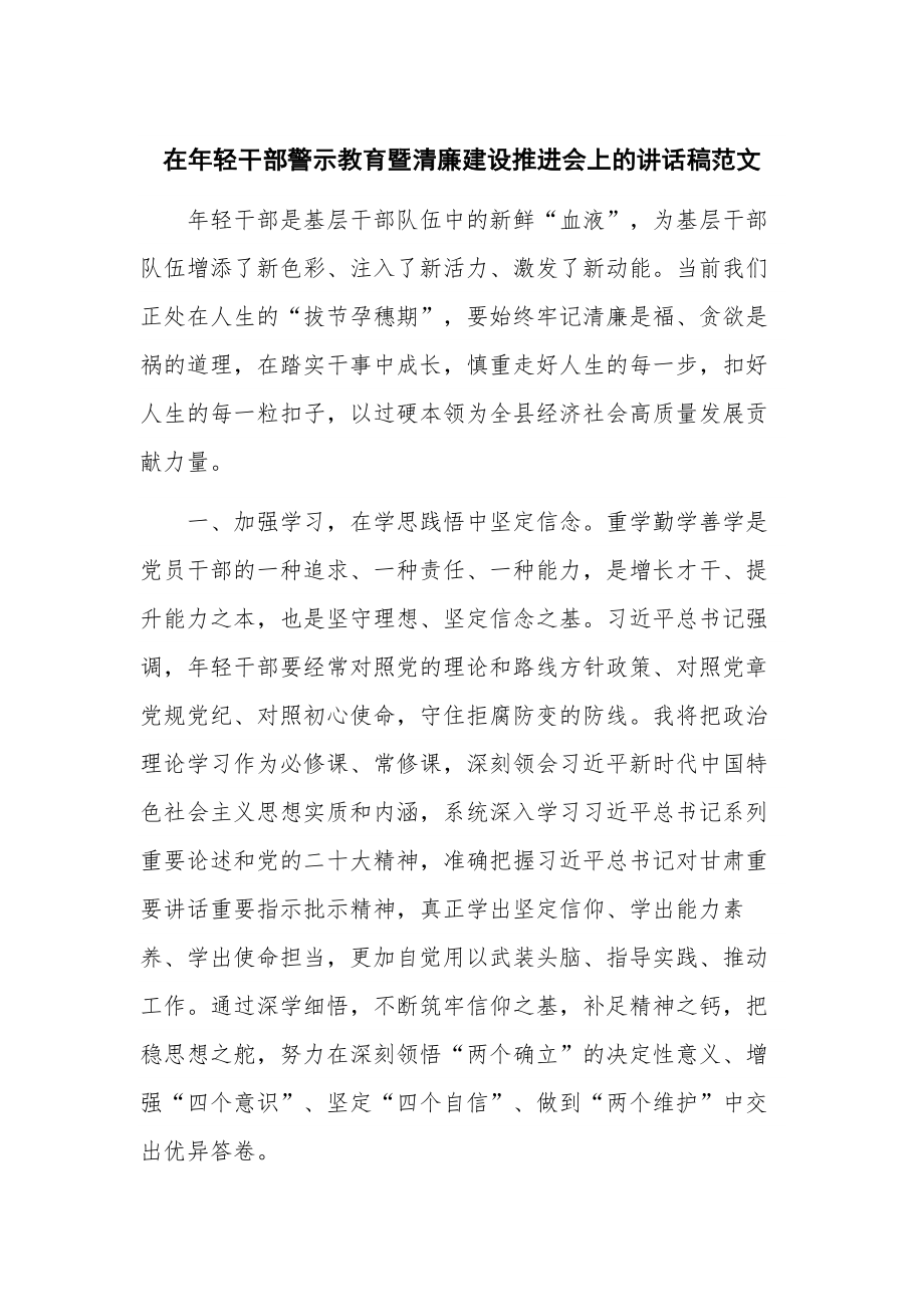 在年轻干部警示教育暨清廉建设推进会上的讲话稿范文.docx_第1页