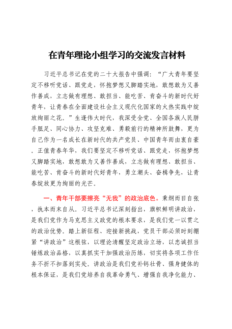 2024年在青年理论小组学习的交流发言材料 .docx_第1页