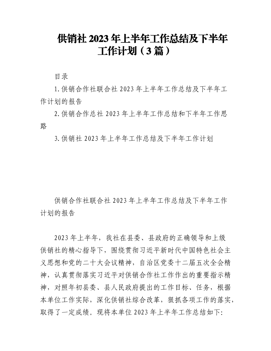 (3篇)供销社2023年上半年工作总结及下半年工作计划.docx_第1页