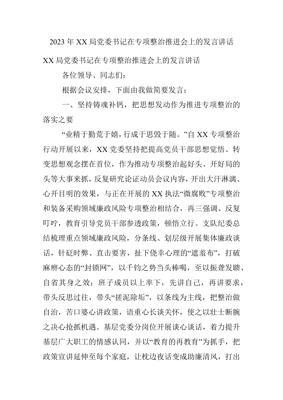 2023年XX局党委书记在专项整治推进会上的发言讲话.docx_第1页