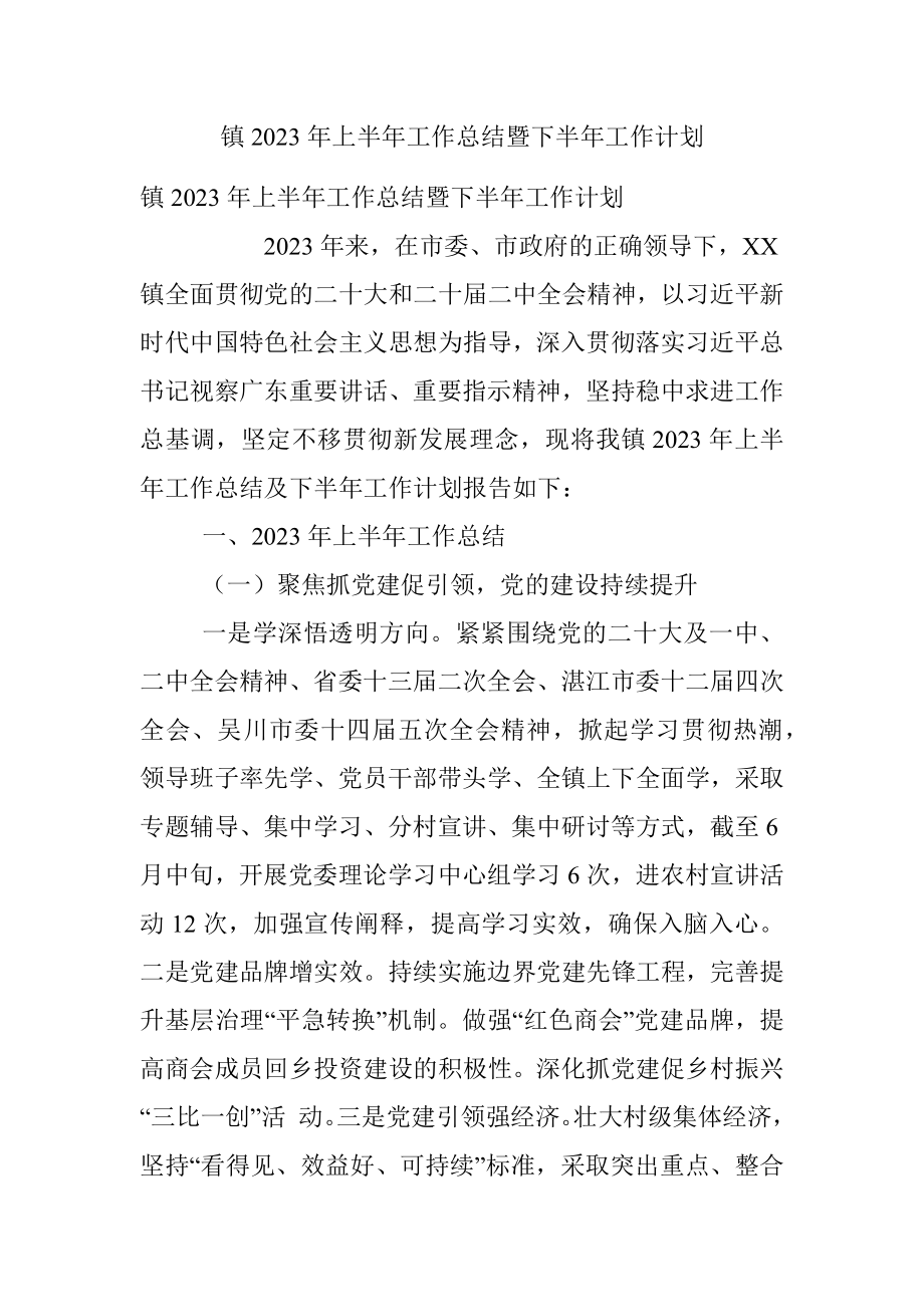 镇2023年上半年工作总结暨下半年工作计划.docx_第1页