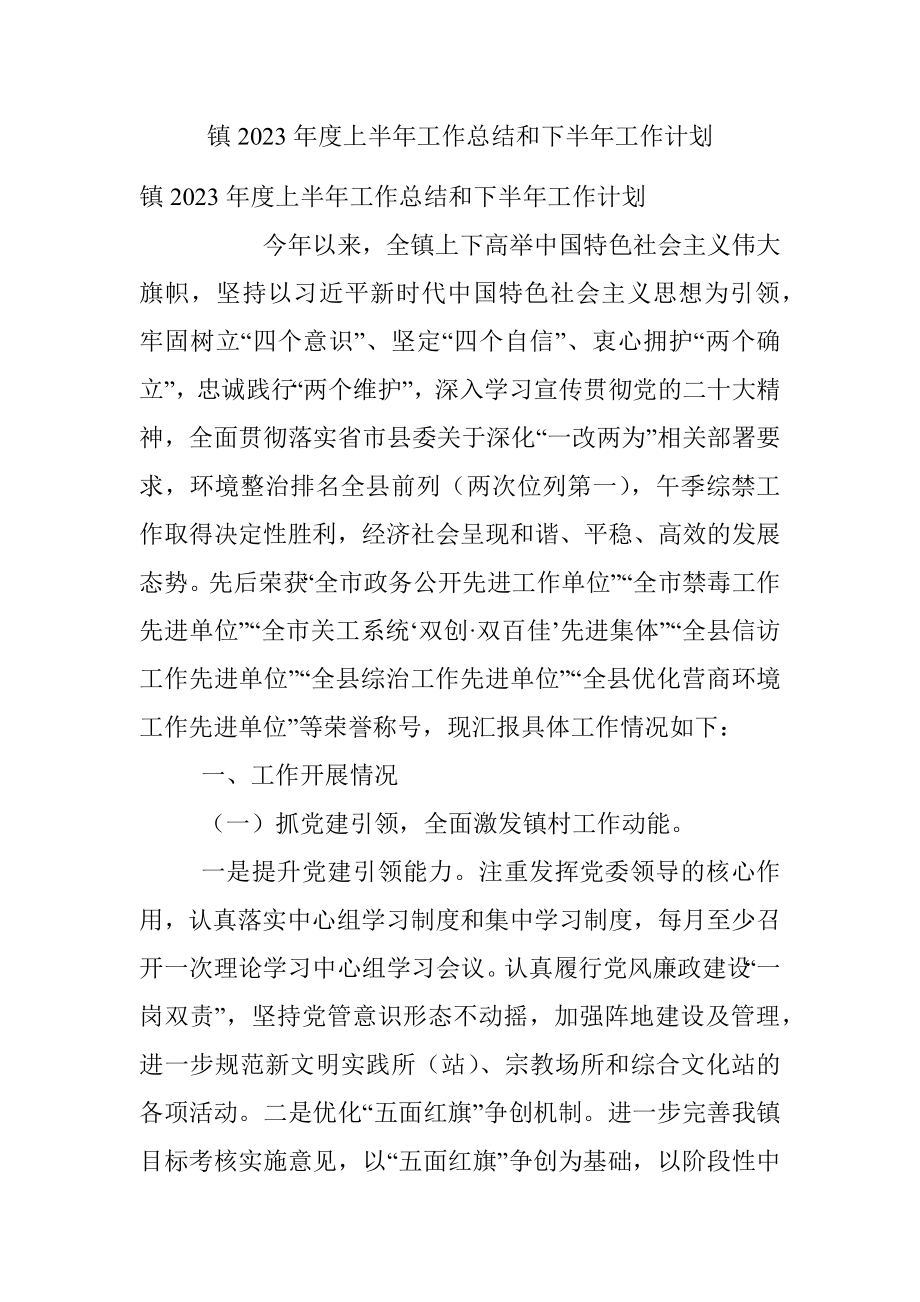 镇2023年度上半年工作总结和下半年工作计划.docx_第1页