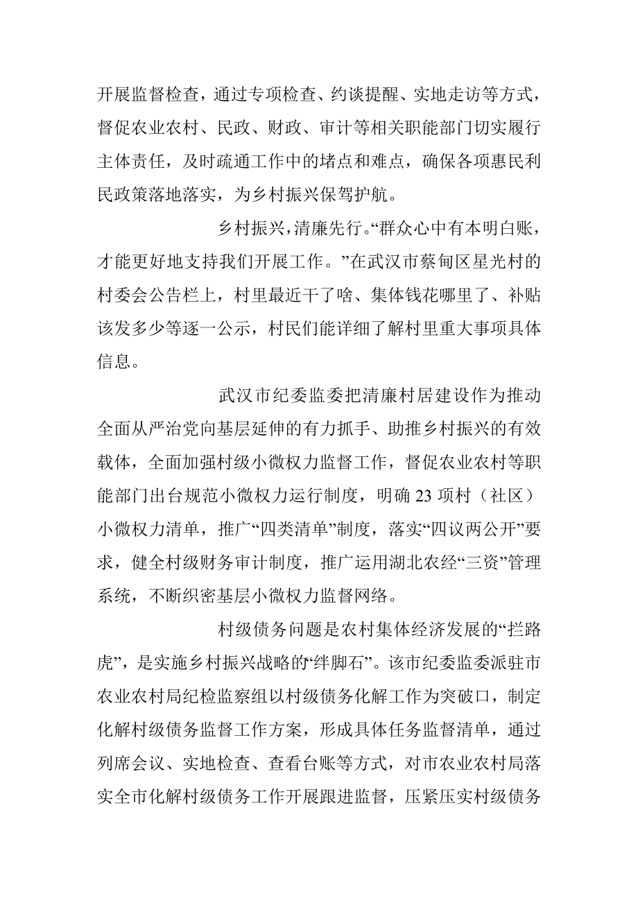 2023年精准监督助力乡村振兴提质增效.docx_第2页