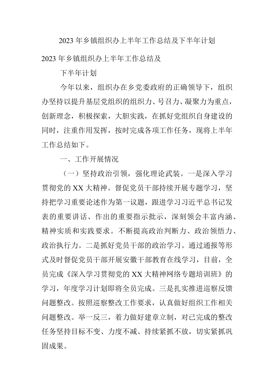 2023年乡镇组织办上半年工作总结及下半年计划.docx_第1页