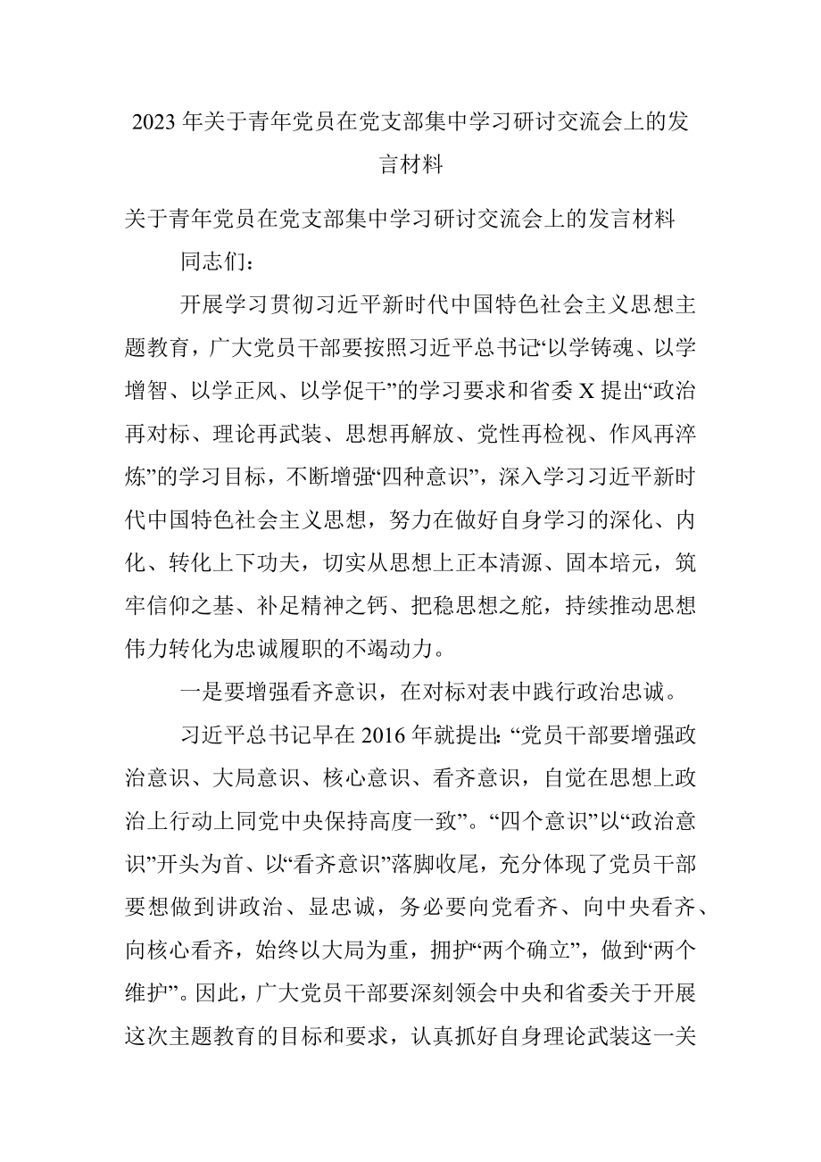 2023年关于青年党员在党支部集中学习研讨交流会上的发言材料.docx_第1页