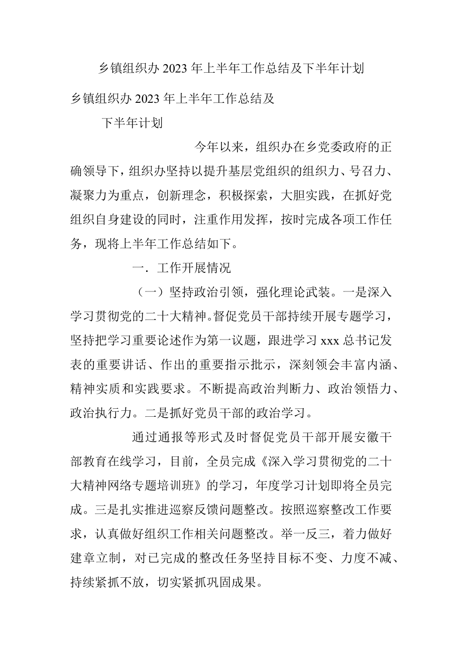 乡镇组织办2023年上半年工作总结及下半年计划.docx_第1页