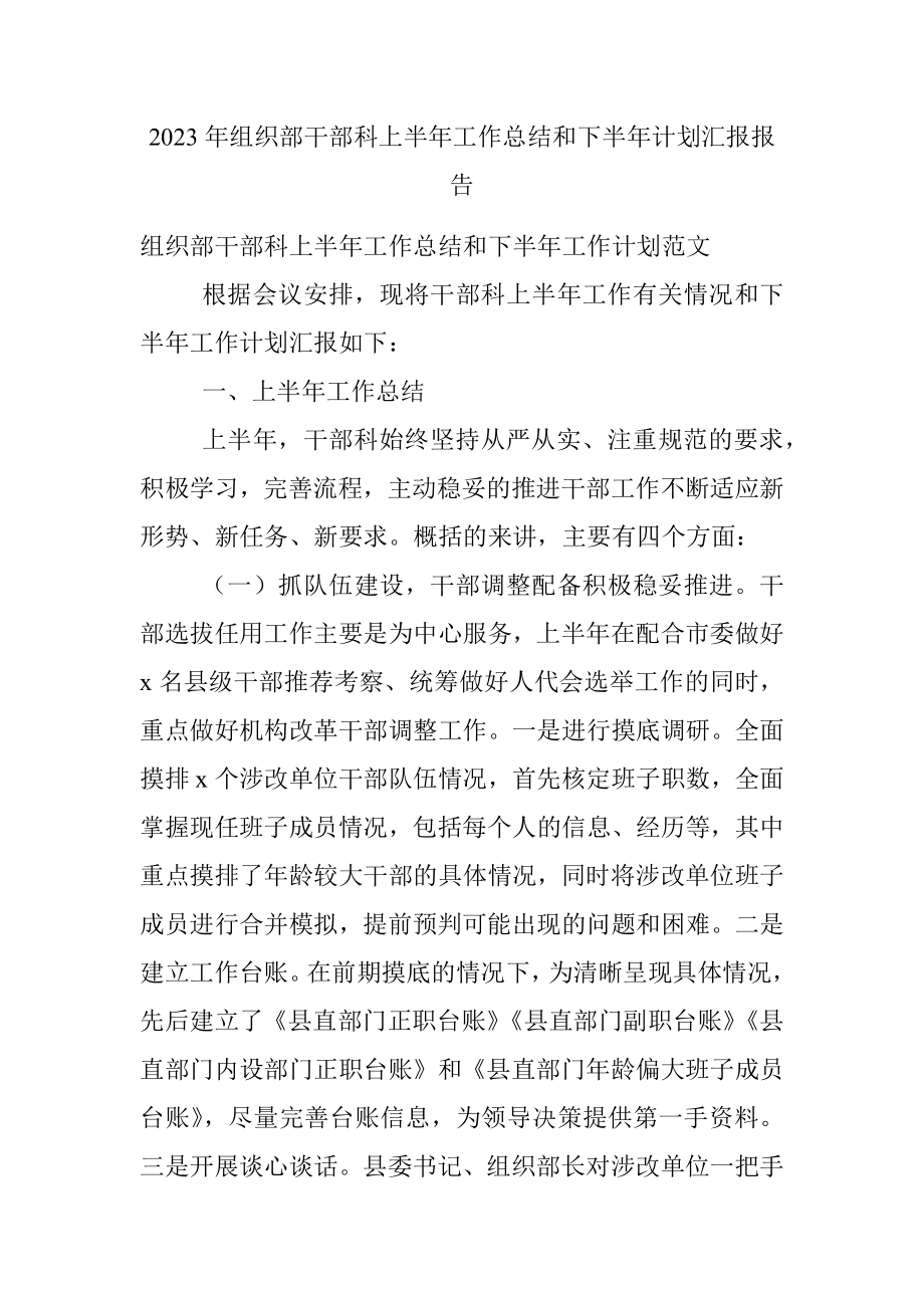 2023年组织部干部科上半年工作总结和下半年计划汇报报告.docx_第1页