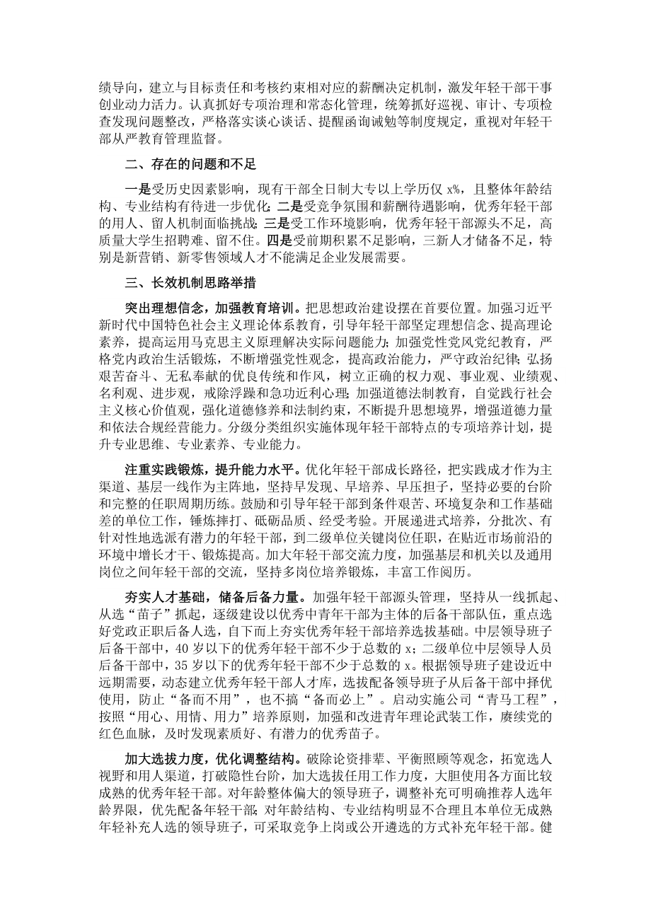 某国企优秀年轻干部队伍建设调研报告.docx_第2页