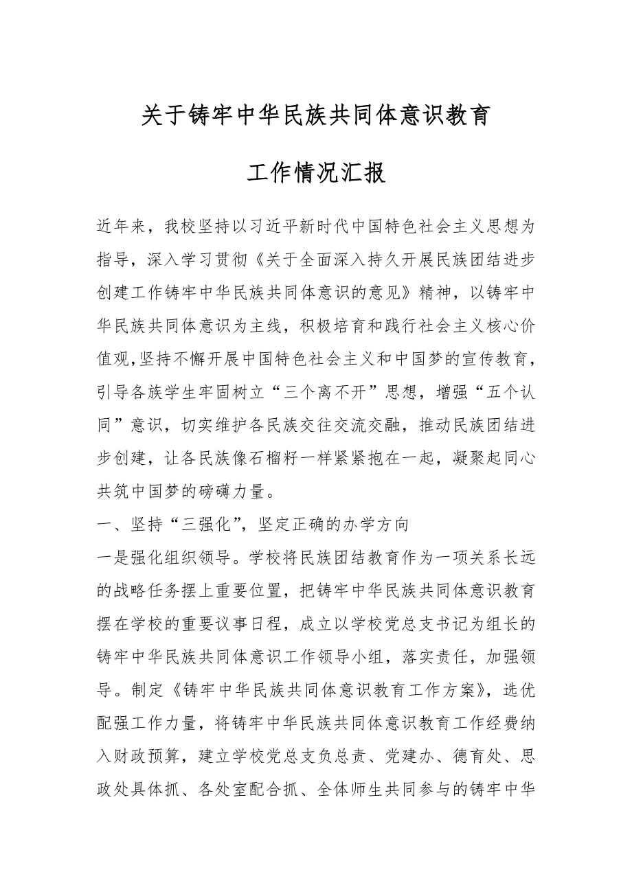 关于铸牢中华民族共同体意识教育工作情况汇报.docx_第1页