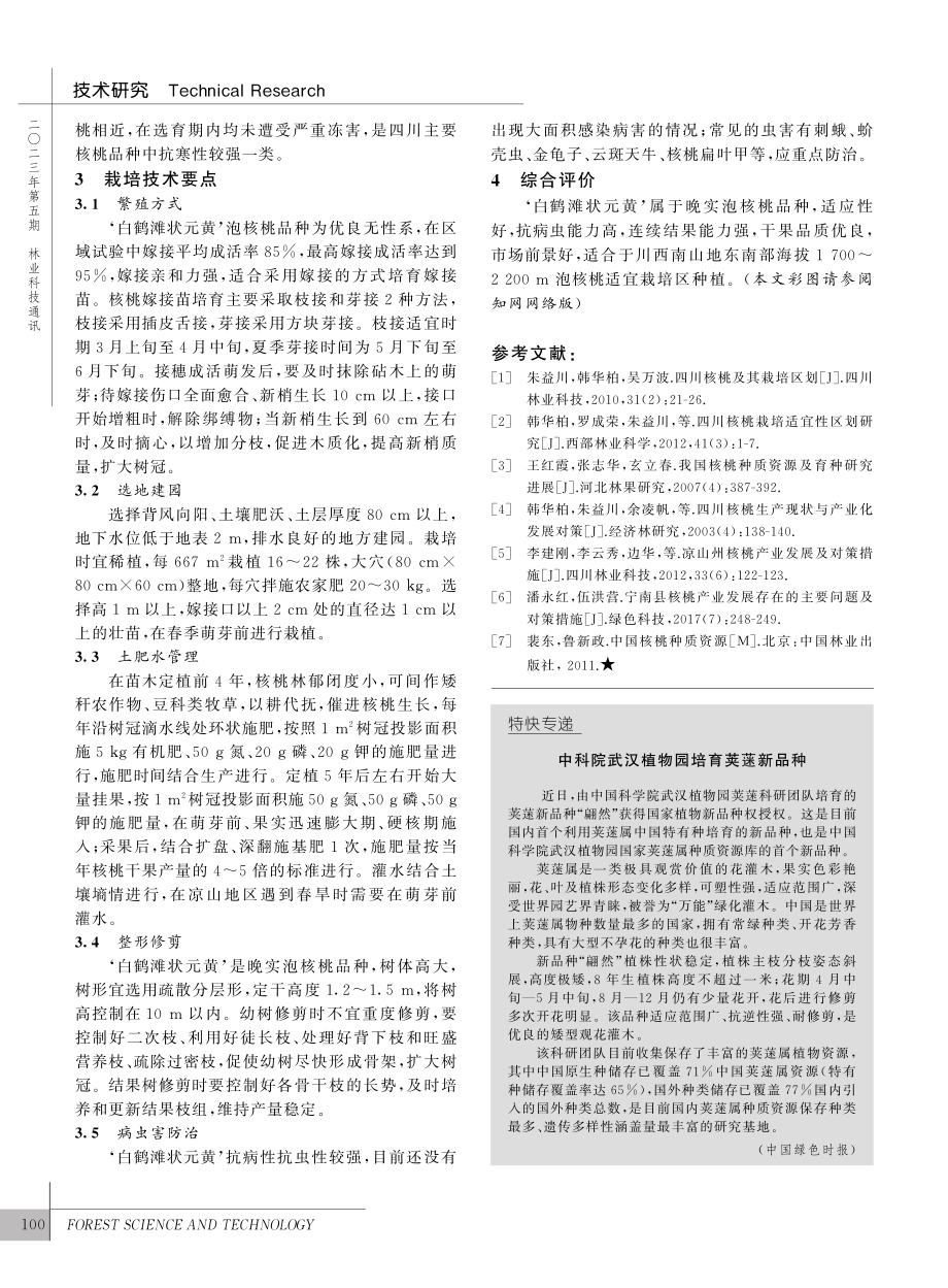 泡核桃新品种‘白鹤滩状元黄’_史元敏.pdf_第3页