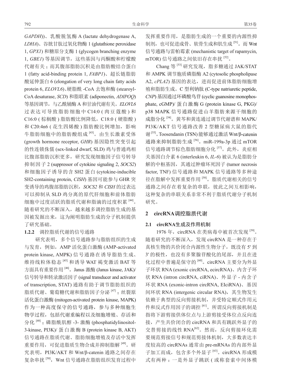 CircRNA在动物脂质代谢中的调控作用_户春丽.pdf_第3页