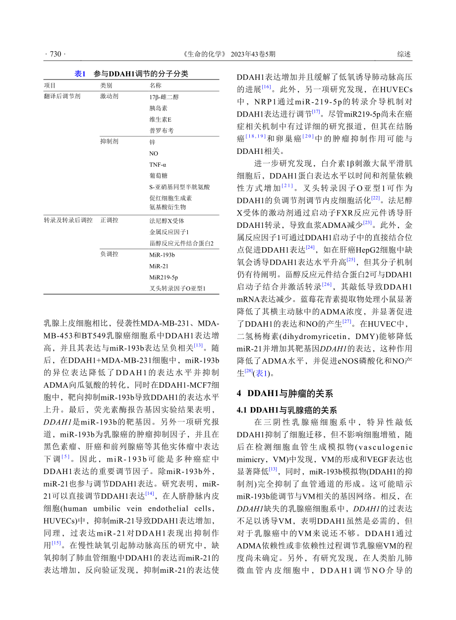 DDAH1参与调控精氨酸代谢介导肿瘤发展的研究进展_梁飞腾.pdf_第3页