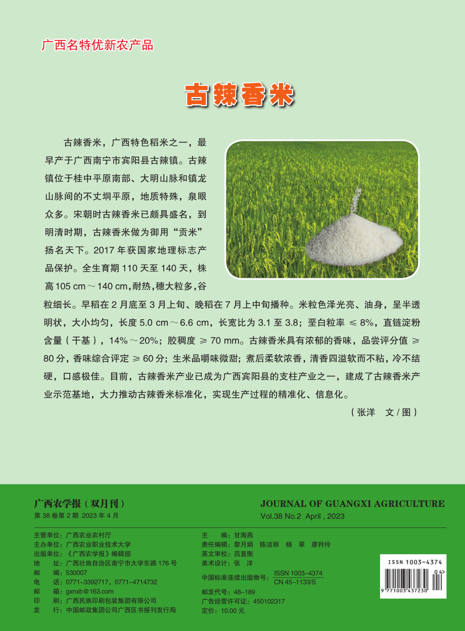 古辣香米_张洋.pdf_第1页