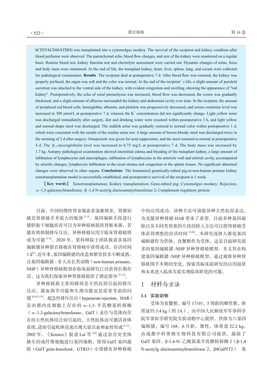 六基因编辑猪-食蟹猴异种肾移植围手术期监测初步报道_杨树军.pdf_第2页