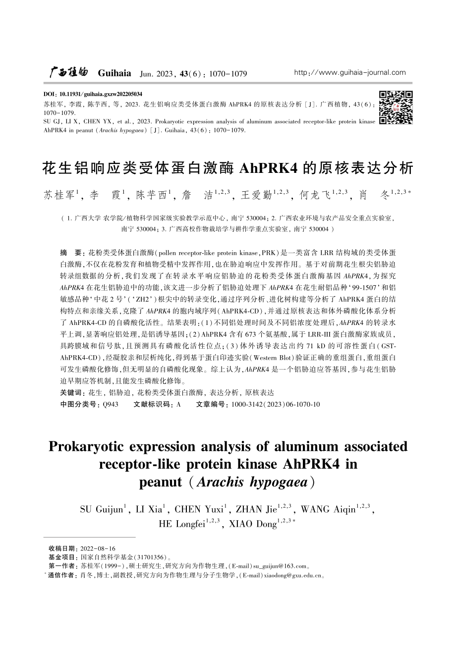 花生铝响应类受体蛋白激酶AhPRK4的原核表达分析_苏桂军.pdf_第1页