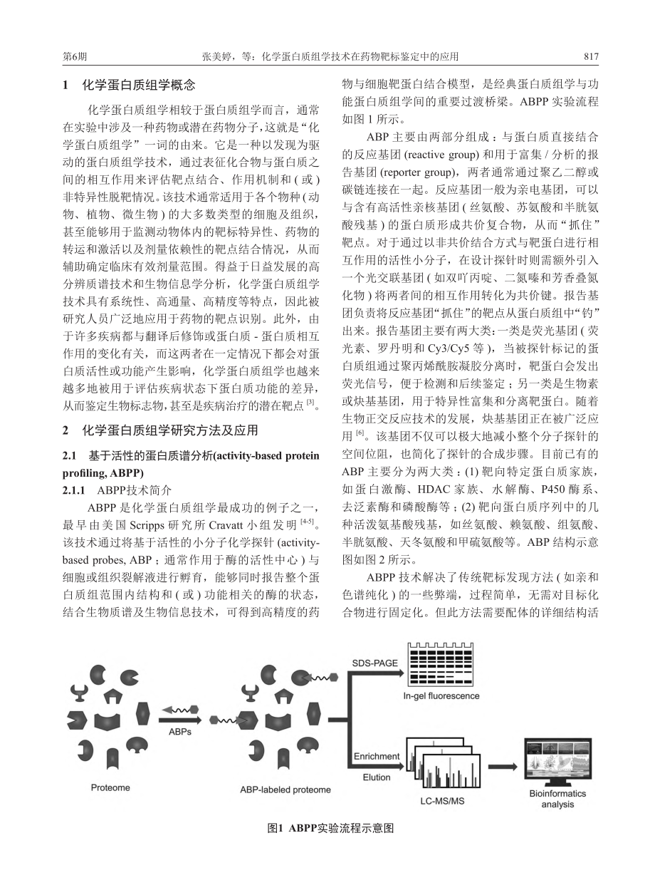 化学蛋白质组学技术在药物靶标鉴定中的应用_张美婷.pdf_第2页