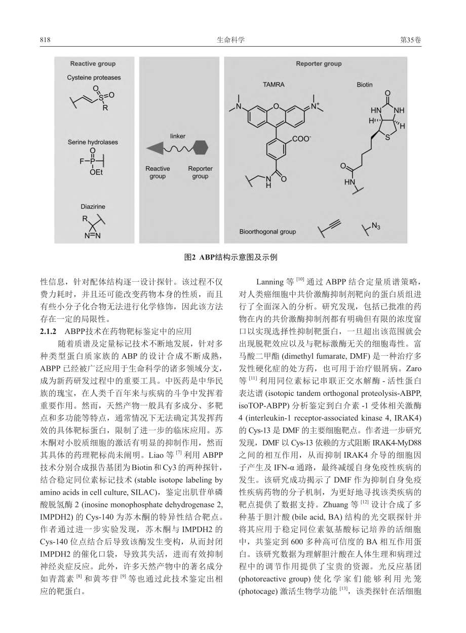 化学蛋白质组学技术在药物靶标鉴定中的应用_张美婷.pdf_第3页