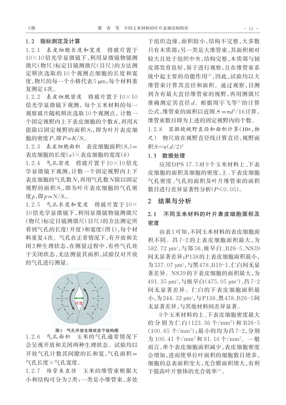 不同玉米材料的叶片表观结构特征_蔡青.pdf_第2页