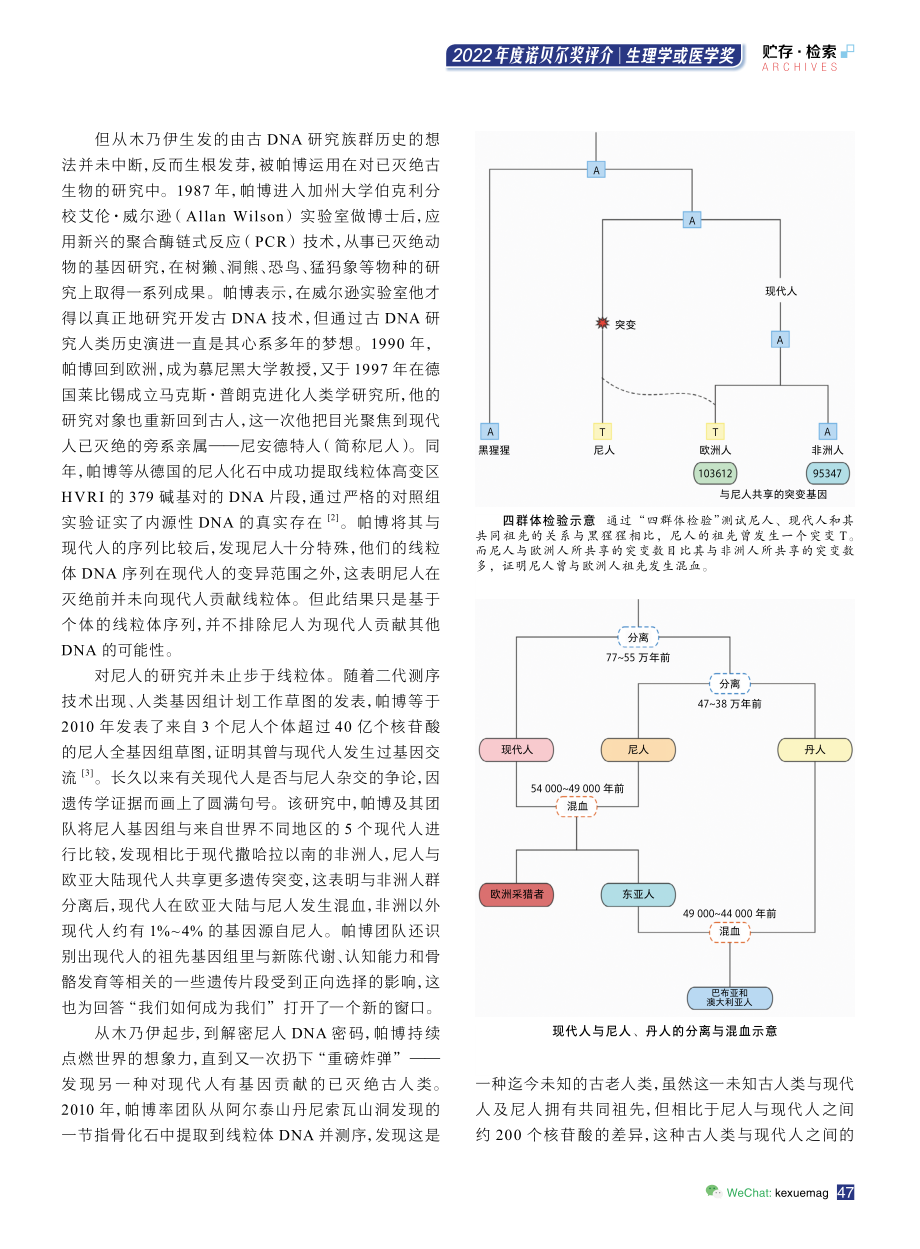 从木乃伊到古基因组学：是什么使我们成为独一无二的人类.pdf_第2页