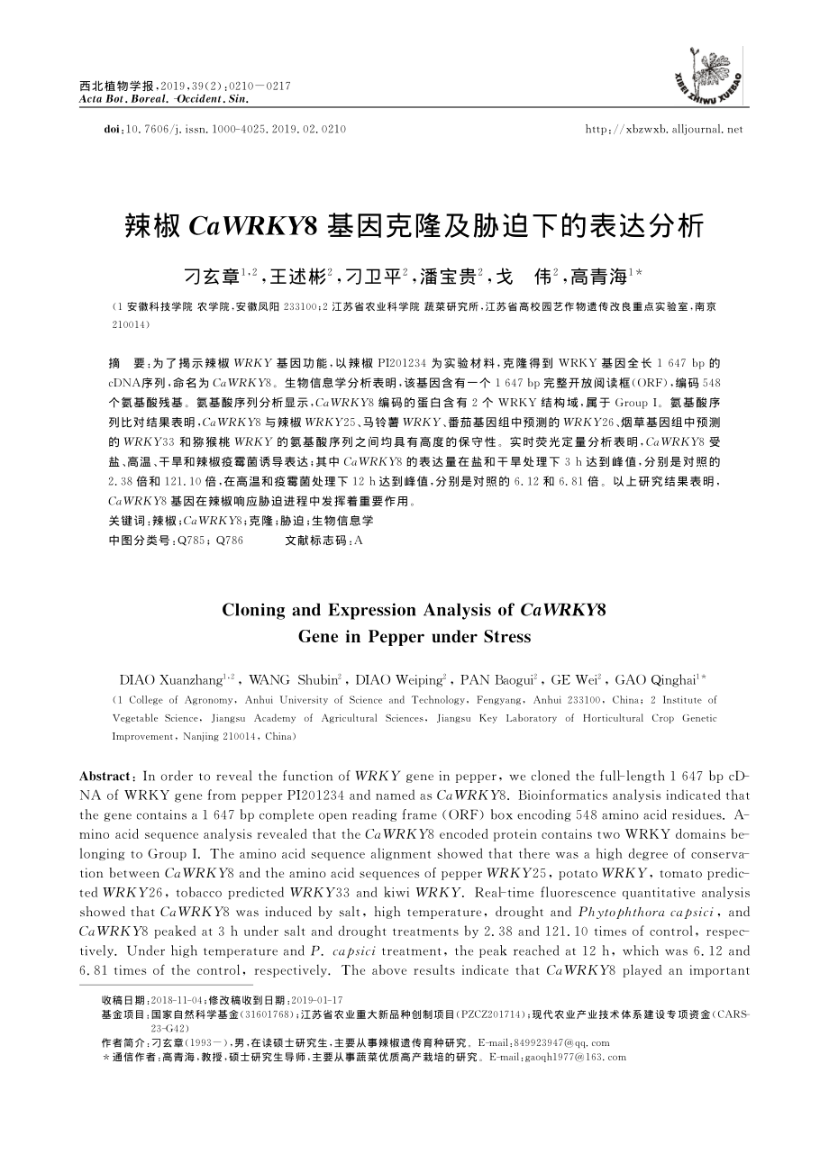 辣椒CaWRKY8基因克隆及胁迫下的表达分析.pdf_第1页