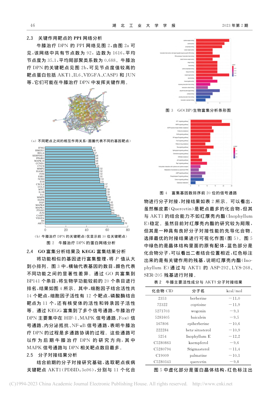 牛膝治疗糖尿病周围神经病变的作用机制_童雅琴.pdf_第3页