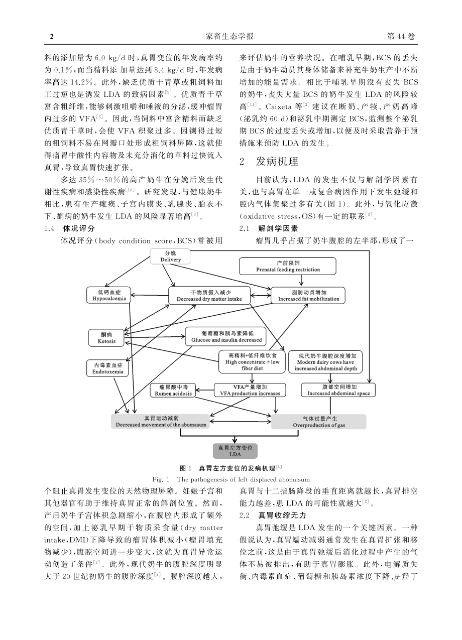 奶牛真胃左方变位研究进展_雍康.pdf_第2页