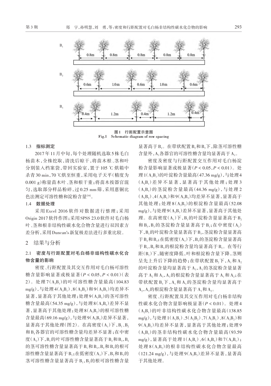 密度和行距配置对毛白杨非结构性碳水化合物的影响_郑宇.pdf_第3页