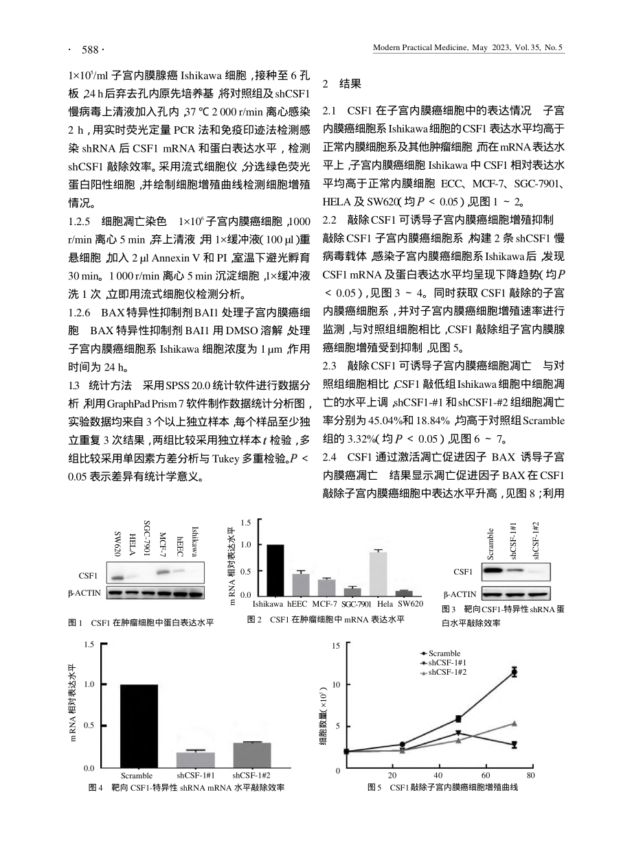 集落刺激因子1在子宫内膜癌细胞中的表达及其意义_金纬纬.pdf_第3页